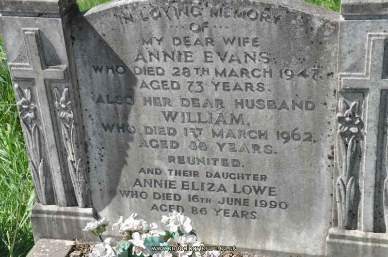 Evans/Lowe