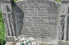 Evans/Lowe