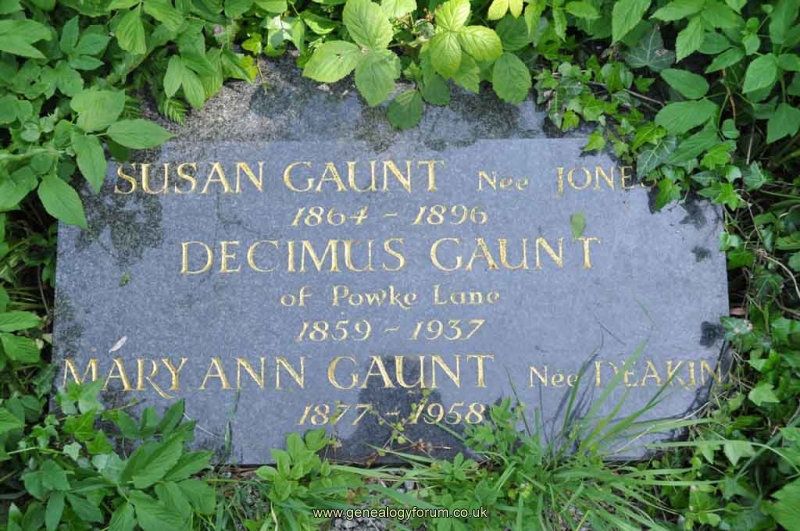 Gaunt - Decimus, Susan (nee Jones), Mary Ann (nee Deakin)