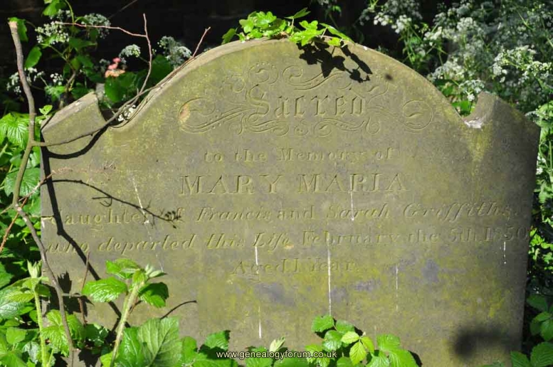 Griffiths - Mary Maria