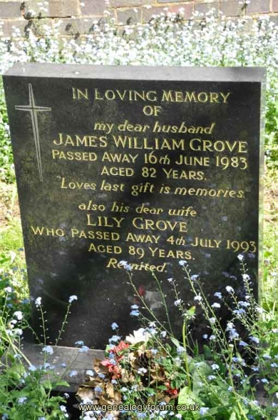 Grove - James, Lily