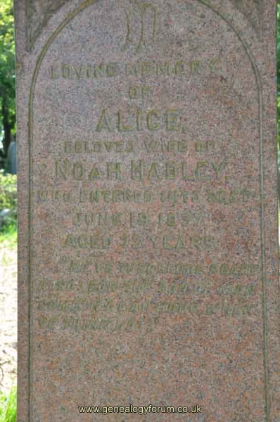 Hadley 1 - Alice