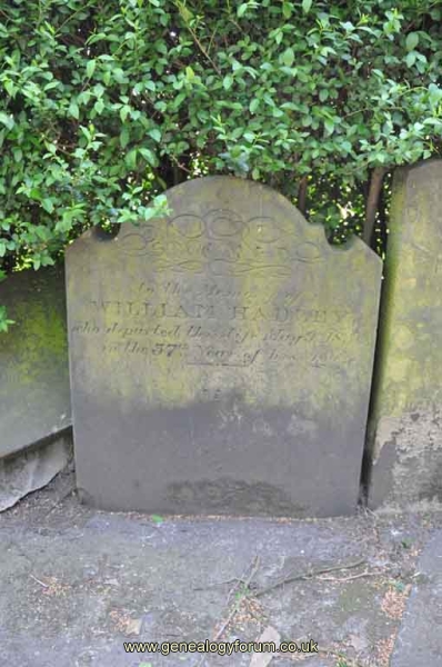 Hadley - William