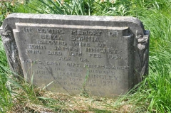 Hingley - John James, Eliza Sophia