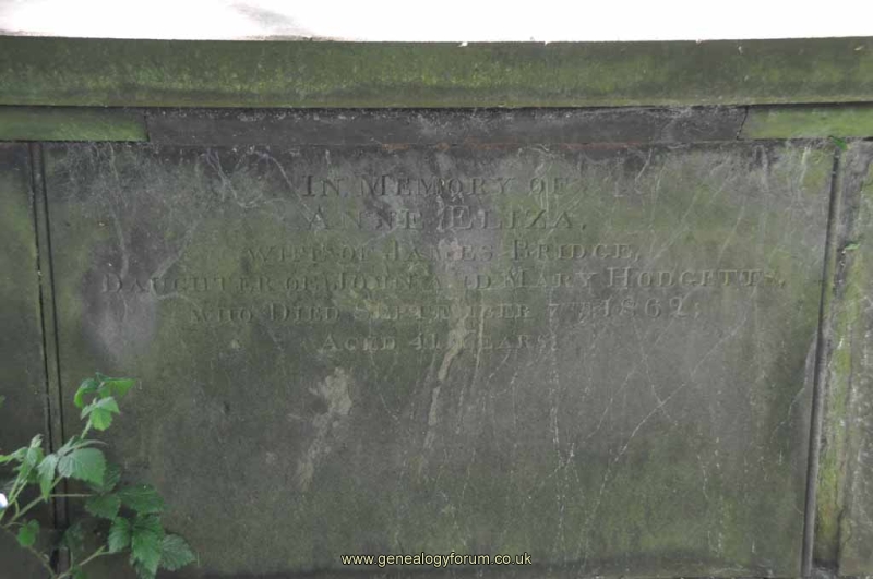 Hodgetts 1 - Annie Eliza Bridge (nee Hodgetts)