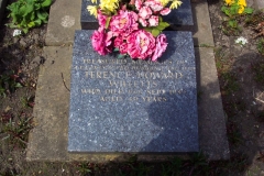 Terence Howard Willetts