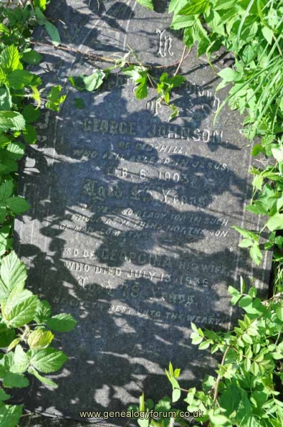 Johnson - George, Georgina