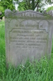 Adams - Miranda
