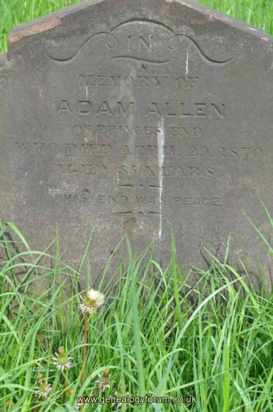 Allen - Adam