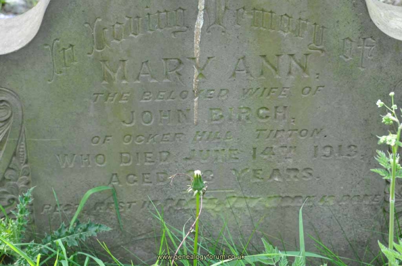 Birch - Mary Ann