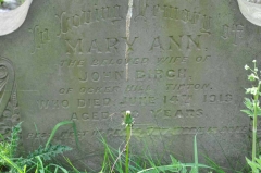 Birch - Mary Ann