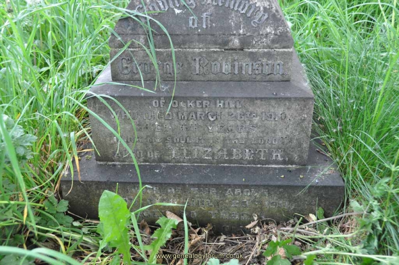 Robinson - George, Elizabeth