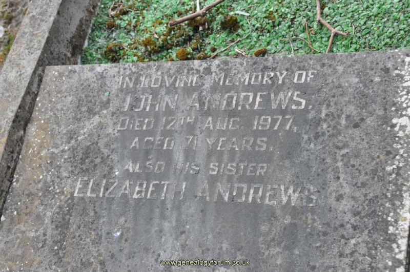 Andrews - John & sister Elizabeth