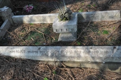 Billingham/Stone 1 - Alice (Wife of John)