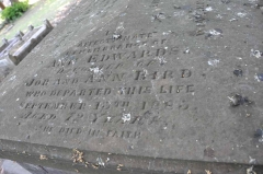 Bird 1 - Ann Edwards (Nee Bird)
