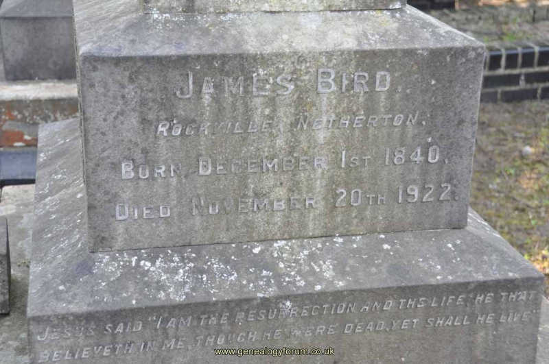 Bird 2 - James