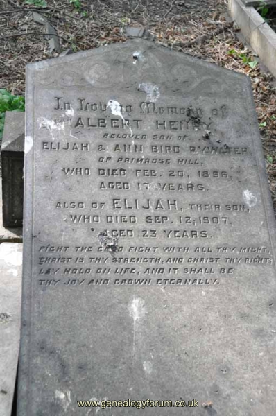 Bird - Albert & bro Elijah