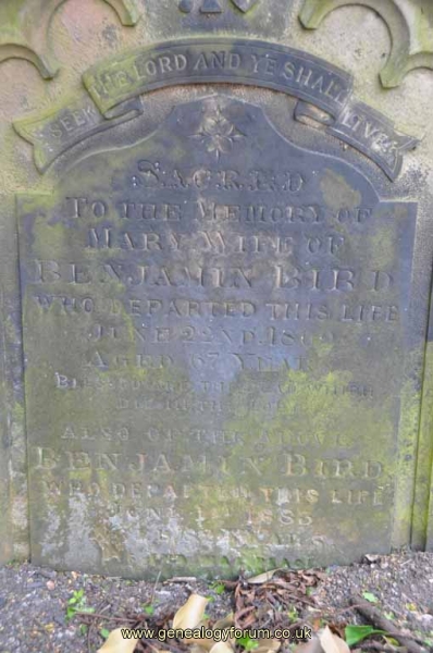Bird - Benjamin, Mary