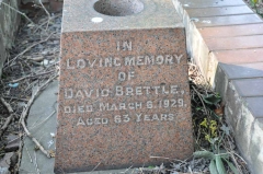 Brettle 1 - David