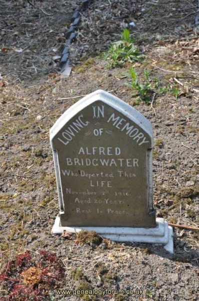Bridgewater - Alfred
