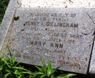 Henry & Mary Ann Billingham