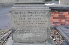 Fullylove 1 - James, Harriet Helen