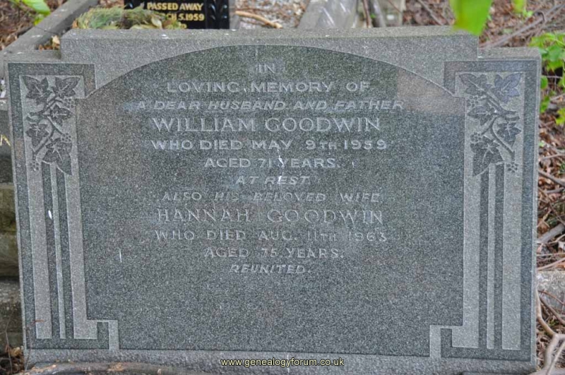 Goodwin - William, Hannah