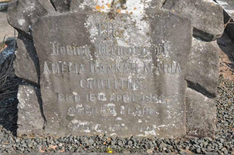 Griffiths 1 - Amelia