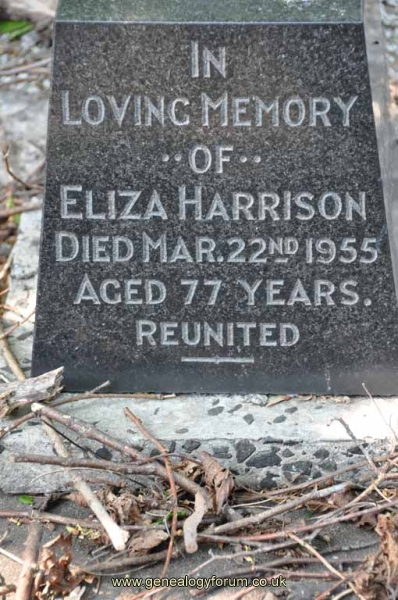 Harrison/Garratt 1 - Eliza