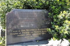 Harrison/Shaw