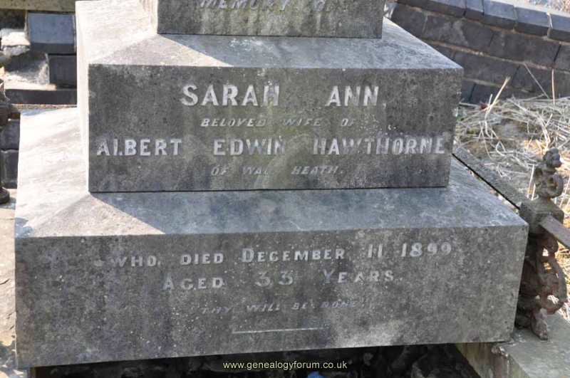 Hawthorne - Sara Ann (wife of Albert Edwin)