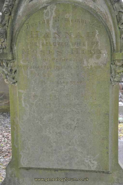 Hill - Moses, Hannah