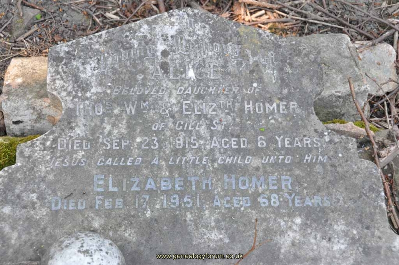 Homer - Elizabeth (wife of Thomas) & dau Alice
