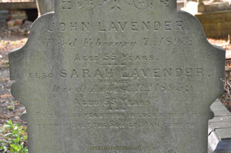 Lavender - John, Sarah