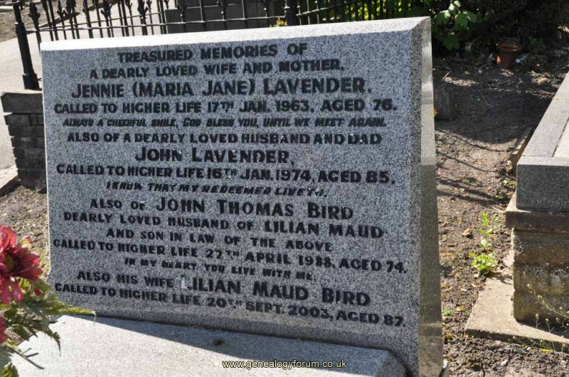 Lavender/Bird