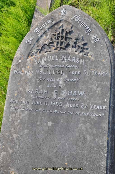 Marsh/Shaw