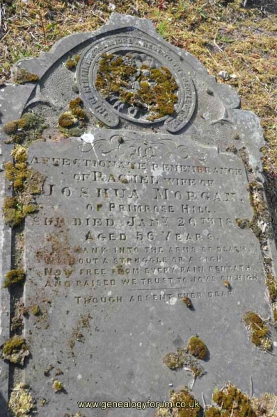Morgan - Rachel (wife of Joshua)