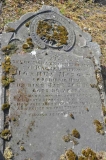 Morgan - Rachel (wife of Joshua)