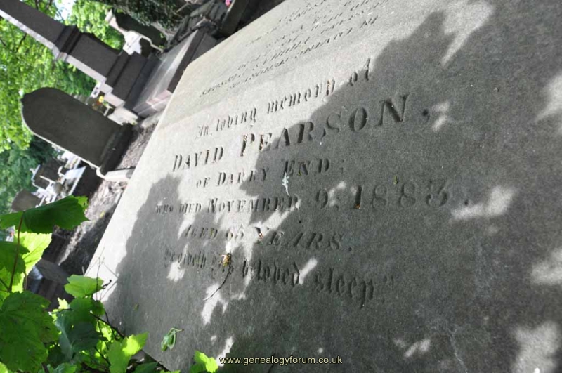 Pearson 1 - David