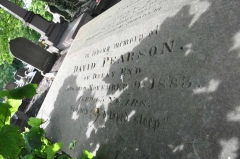 Pearson 1 - David