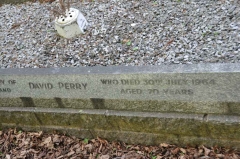 Perry 1 - David