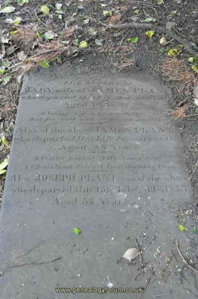 Plant - James, Mary and son Joseph