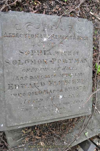 Portman - Sophia (nee Fletcher) wife of Solomon