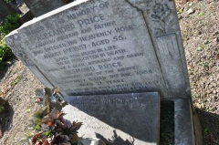 Price - Alexander, Rosannah and son Desmond