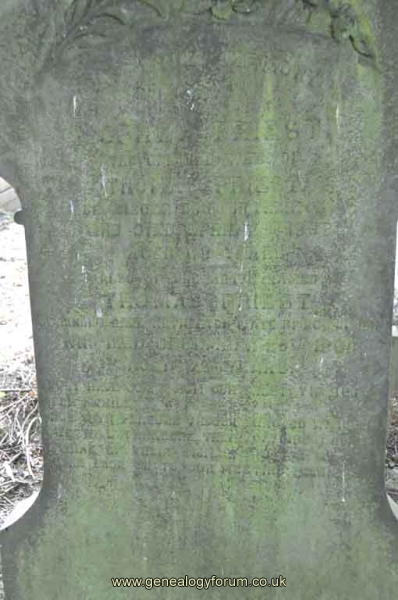 Priest - Thomas, Sophia