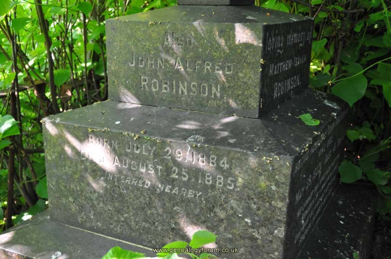 Robinson 2 - John Alfred