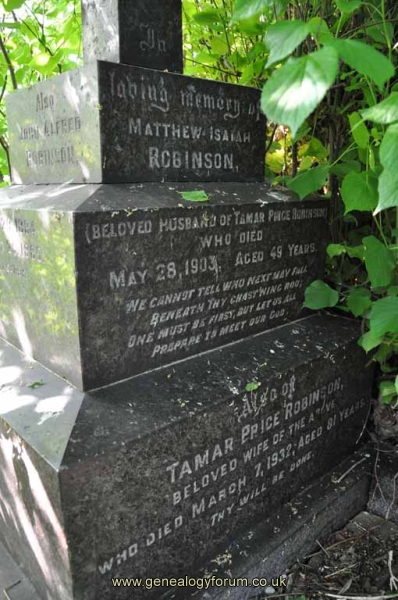 Robinson 2 - Matthew, Tamar