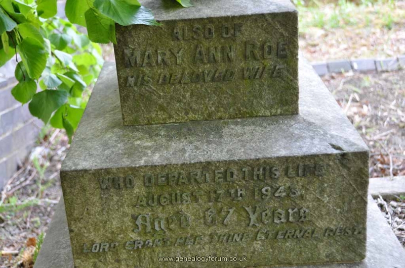 Roe 1 - Mary Ann