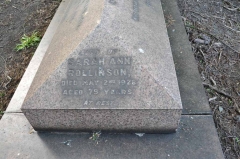 Rollinson 1 - Sarah Ann