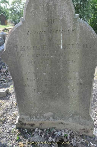 Smith/York